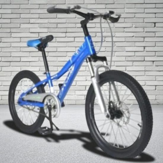 صورة دراجة مقاس 20